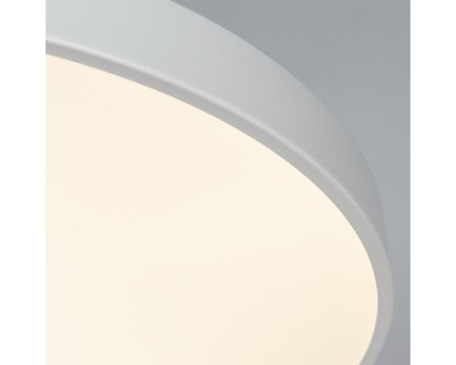Потолочный светильник Arena A2671PL-1WH Arte Lamp Потолочный светильник Arena A2671PL-1WH Arte Lamp