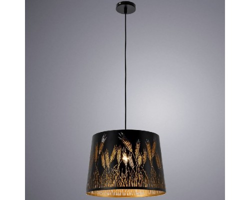Подвесной светильник Celesta A2700SP-1BK Arte Lamp Подвесной светильник Celesta A2700SP-1BK Arte Lamp