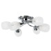 Потолочная люстра Penny A2701PL-6CC Arte Lamp