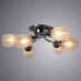 Потолочная люстра Penny A2701PL-6CC Arte Lamp