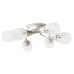 Потолочная люстра Penny A2701PL-6WG Arte Lamp