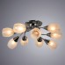Потолочная люстра Penny A2701PL-9CC Arte Lamp