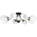 Потолочная люстра Brighton A2706PL-8CK Arte Lamp
