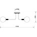 Потолочная люстра Oxford A2716PL-6BK Arte Lamp