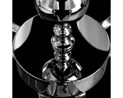 Подвесная люстра Promessa A3074LM-6CC Arte Lamp Подвесная люстра Promessa A3074LM-6CC Arte Lamp