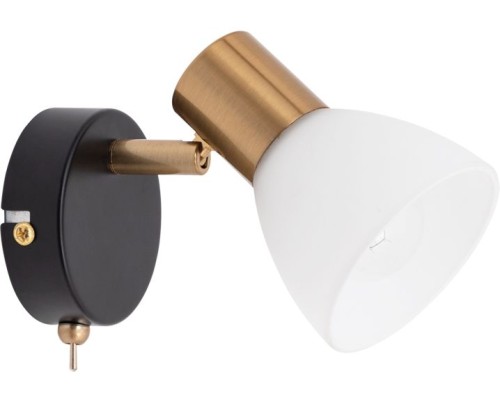 Спот Falena A3117AP-1BK Arte Lamp Спот Falena A3117AP-1BK Arte Lamp