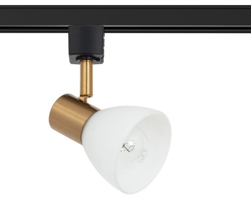 Трековый светильник Falena A3117PL-1BK Arte Lamp Трековый светильник Falena A3117PL-1BK Arte Lamp