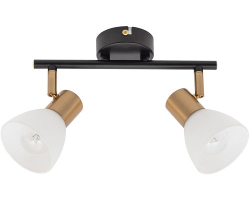 Спот Falena A3117PL-2BK Arte Lamp Спот Falena A3117PL-2BK Arte Lamp