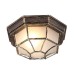 Потолочный светильник уличный Pegasus A3121PF-1BN Arte Lamp