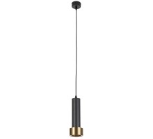 Подвесной светильник Ran A3147SP-1BK Arte Lamp