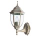 Настенный фонарь уличный Pegasus A3151AL-1WG Arte Lamp