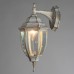 Настенный фонарь уличный Pegasus A3152AL-1WG Arte Lamp