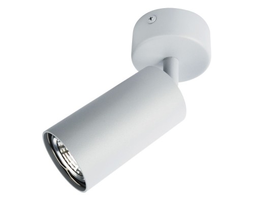 Спот Aquarius A3216PL-1GY Arte Lamp Спот Aquarius A3216PL-1GY Arte Lamp