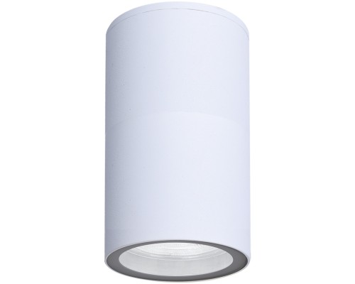 Потолочный светильник уличный Mistero A3302PF-1WH Arte Lamp Потолочный светильник уличный Mistero A3302PF-1WH Arte Lamp