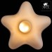 Потолочный светильник Canzone A3469PL-1CC Arte Lamp