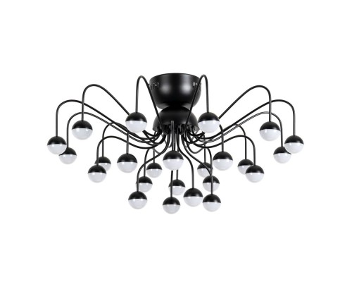 Потолочная люстра Dexter A3619PL-24BK Arte Lamp Потолочная люстра Dexter A3619PL-24BK Arte Lamp