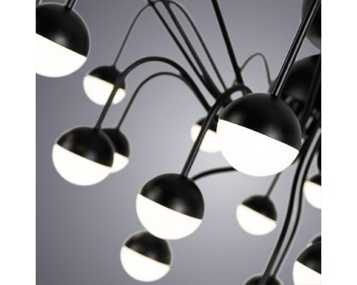 Потолочная люстра Dexter A3619PL-24BK Arte Lamp Потолочная люстра Dexter A3619PL-24BK Arte Lamp