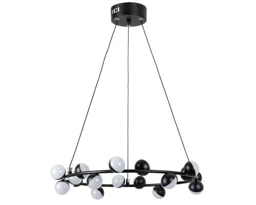 Подвесная люстра Dexter A3619SP-18BK Arte Lamp Подвесная люстра Dexter A3619SP-18BK Arte Lamp