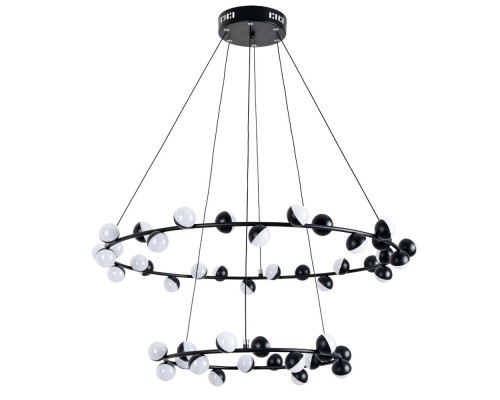 Подвесная люстра Dexter A3619SP-48BK Arte Lamp Подвесная люстра Dexter A3619SP-48BK Arte Lamp