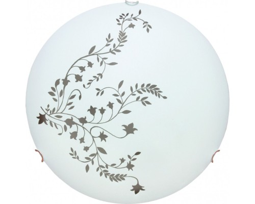 Настенно-потолочный светильник Ornament A3820PL-2CC Arte Lamp Настенно-потолочный светильник Ornament A3820PL-2CC Arte Lamp