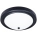 Потолочный светильник James A4049PL-3BK Arte Lamp
