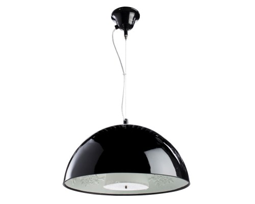 Подвесной светильник Rome A4175SP-1BK Arte Lamp Подвесной светильник Rome A4175SP-1BK Arte Lamp