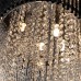 Потолочная люстра Incanto A4207PL-9CC Arte Lamp