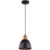 Подвесной светильник Eurica A4245SP-1BK Arte Lamp