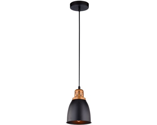 Подвесной светильник Eurica A4248SP-1BK Arte Lamp Подвесной светильник Eurica A4248SP-1BK Arte Lamp