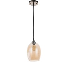 Подвесной светильник Propus A4344SP-1AB Arte Lamp