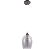 Подвесной светильник Propus A4344SP-1BK Arte Lamp