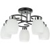 Потолочная люстра Krit A4505PL-5BK Arte Lamp