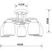 Потолочная люстра Krit A4505PL-5BK Arte Lamp