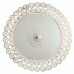 Потолочный светильник Fleece A4554PL-2WG Arte Lamp