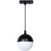 Трековый светильник Virgo A4564PL-1BK Arte Lamp