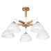 Потолочная люстра Matthew A5032PL-5BR Arte Lamp