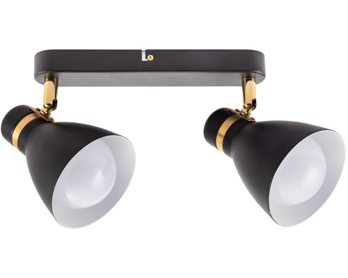 Спот Fafnir A5047PL-2BK Arte Lamp Спот Fafnir A5047PL-2BK Arte Lamp