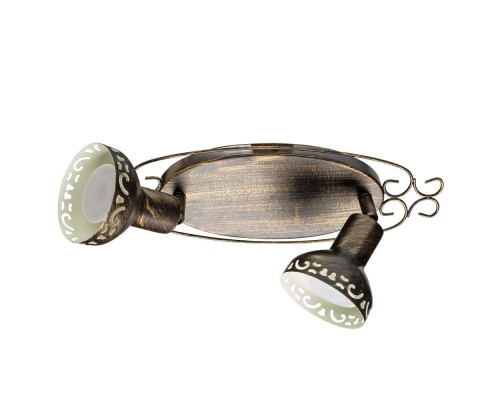 Спот Focus A5219AP-2BR Arte Lamp Спот Focus A5219AP-2BR Arte Lamp