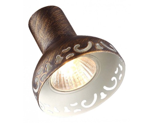 Спот Focus A5219PL-3BR Arte Lamp Спот Focus A5219PL-3BR Arte Lamp