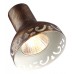 Спот Focus A5219PL-3BR Arte Lamp