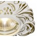 Точечный светильник Occhio A5285PL-1SG Arte Lamp