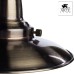 Подвесная люстра Fisherman A5518LM-5AB Arte Lamp