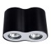 Потолочный светильник Falcon A5633PL-2BK Arte Lamp