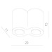 Потолочный светильник Falcon A5633PL-2BK Arte Lamp
