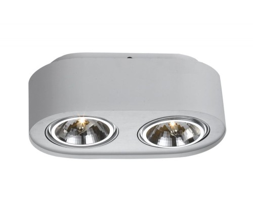 Потолочный светильник Cliff A5643PL-2WH Arte Lamp Потолочный светильник Cliff A5643PL-2WH Arte Lamp