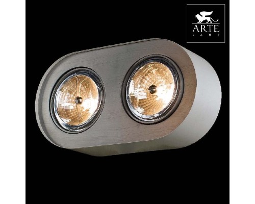 Потолочный светильник Cliff A5643PL-2WH Arte Lamp Потолочный светильник Cliff A5643PL-2WH Arte Lamp
