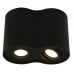 Точечный светильник Falcon A5644PL-2BK Arte Lamp