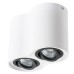 Точечный светильник Falcon A5644PL-2WH Arte Lamp