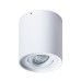 Точечный светильник Falcon A5645PL-1WH Arte Lamp