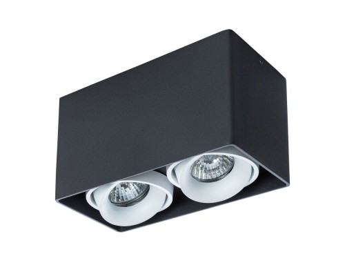 Точечный светильник Pictor A5654PL-2BK Arte Lamp Точечный светильник Pictor A5654PL-2BK Arte Lamp